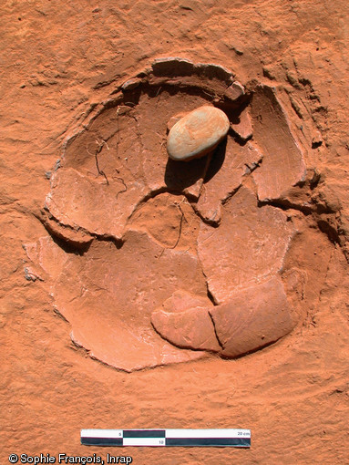 Fragments de poterie amérindienne découvert en 2002, sur le site de Katoury à Cayenne (Guyanne), et datés du Xe siècle de notre ère.       