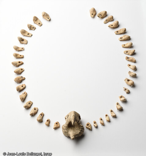 Collier en dents de cerf trouvé dans la  nécropole de Vignely (Seine-et-Marne), daté de 4 600 avant notre ère.  Le pendentif est une vertèbre de loup façonnée en tête d'oiseau.   