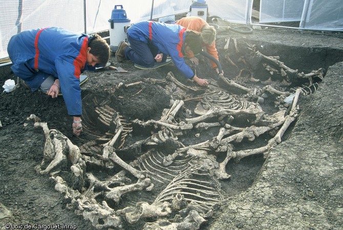 Fouille d'une fosse datant de la fin de la période gauloise  contenant 8 chevaux découverte à Orcet (Puy-De-Dôme) en 2002. 
