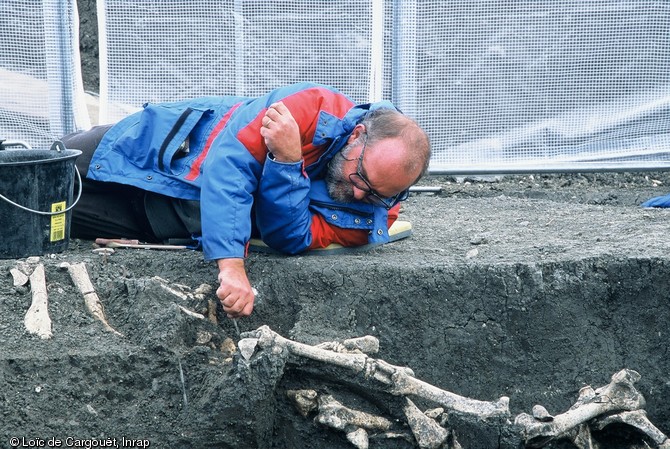 Fouille d'une fosse contenant 8 chevaux datant de la fin de la période gauloise découverte à Orcet (Puy-De-Dôme) en 2002.     Un archéozoologue dégage les ossements d'un cheval. 