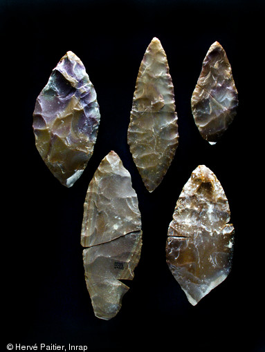 Feuilles de laurier de la période solutréenne, taillées par Homo sapiens il y a 20 000 ans.
