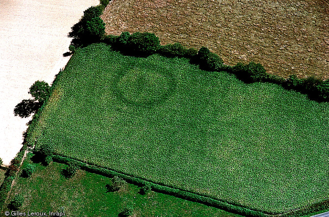 Cliché aérien d'un fossé circulaire funéraire à Cosmes (Mayenne).