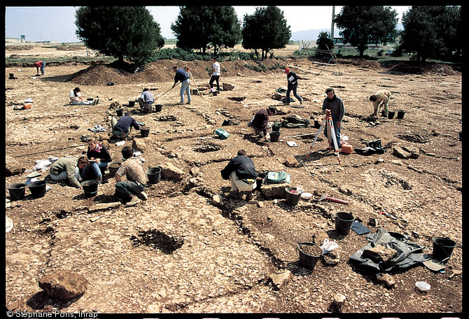 Vue d'ensemble de la nécropole du Causse près de Castres (Tarn), fouillée en 1995.  Les fouilles réalisées sur 25 000 m2 ont révélé 600 tombes à incinération et 8 à inhumation datées de la fin de l'âge du Bronze IIIb à la fin du premier âge du Fer (de 750 à 550 avant notre ère).          