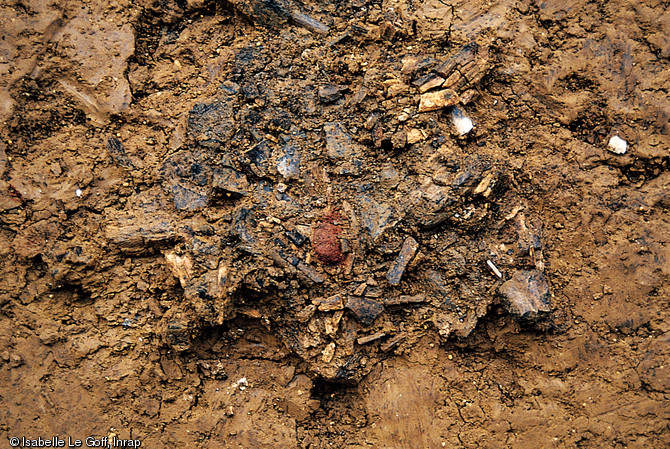 Sépulture à incinération mise au jour sur un site de campement mésolithique de Ruffey-sur-Seille (Jura), 1994-1995.  Au dessus des ossements calcinés du défunt, rassemblés dans un récipient disparu ou une petite fosse, avait été déposée une petite boule d'ocre rouge, visible au centre de la photo. 