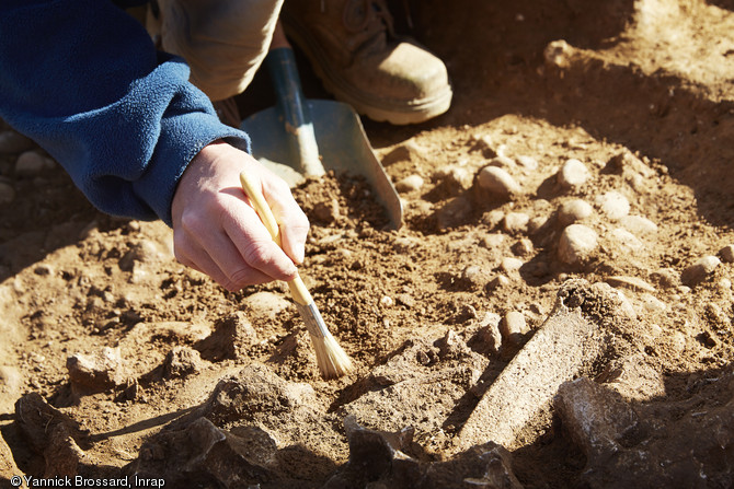 Fouille d'une fosse du Néolithique récent contenant des ossements d'animaux à Vergèze (Gard), 2014