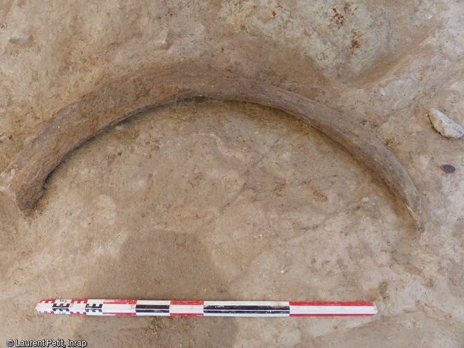 Défense de mammouth et outil en silex datés autour de 100 000 ans avant notre ère retrouvés sur le site de Montereau-sur-le-Jard (Seine-et-Marne), 2015 