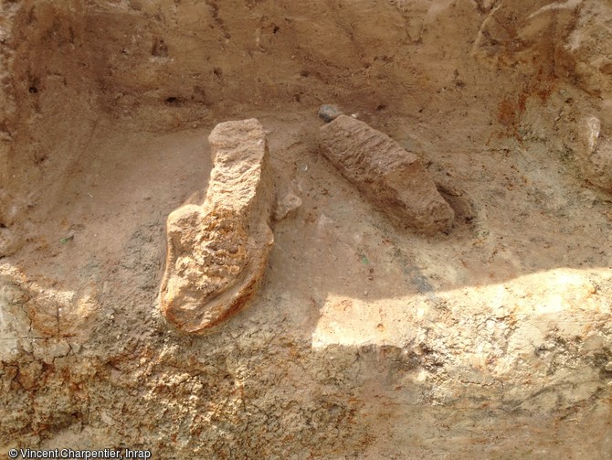 Deux molaires de mammouth en place dans le sédiment daté autour de 100 000 ans avant notre ère retrouvées à Montereau-sur-le-Jard (Seine-et-Marne), 2015.