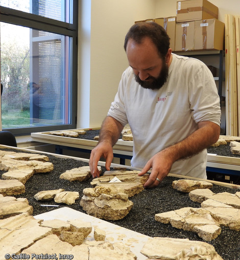 Recomposition des décors par assemblage des fragments de stuc dans de grands bacs à sable. Stucs découverts à Entrains-sur-Nohain (Bourgogne).