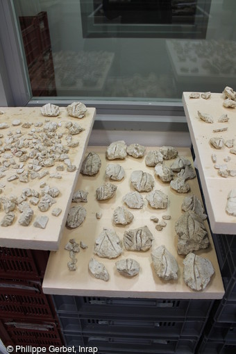 Des milliers de fragments de décors retrouvés à Entrains-sur-Nohain (Bourgogne). Ces stucs sont triés et classés par type pour faciliter le remontage. Leur recomposition consiste en un immense puzzle effectué dans de grand bacs à sable.