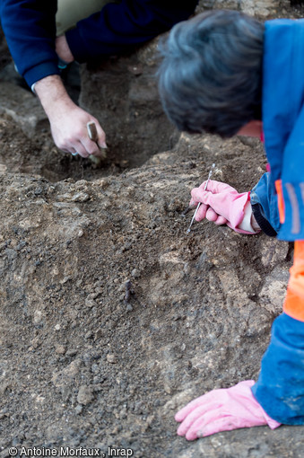 Fragments de stucs retrouvés à Entrains-sur-Nohain (Bourgogne). Le dégagement des stucs, pris dans une gangue de terre impose un travail au petit outil.