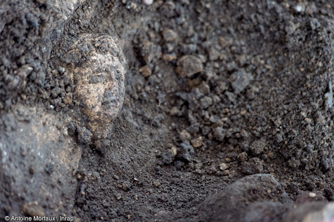Fragment de stuc découvert à Entrains-sur-Nohain (Bourgogne). Un visage apparaît au milieu de la gangue de terre. 