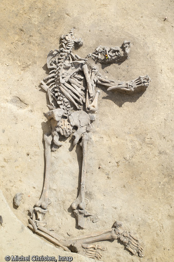 Détail de la fosse 124 sur le site néolithique d'Achenheim (Bas-Rhin), 2016. Un homme adulte gît sur le ventre et présente de multiples fractures au niveau des tibias. Cette fosse est un vaste silo de près de 2,5 m de diamètre dans lequel ont été abandonnés six individus présentant tous des traces de nombreuses fractures. Ce dépôt de cadavres est constitué en un temps, et évoque une même tuerie, un même conflit.