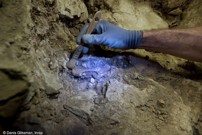 Dégagement d'une mâchoire de cheval prise dans une brèche de calcite fouillée dans la  salle de théâtre  (secteur aurignacien) de la grotte préhistorique du Mas-d'Azil ( Ariège), 2015.