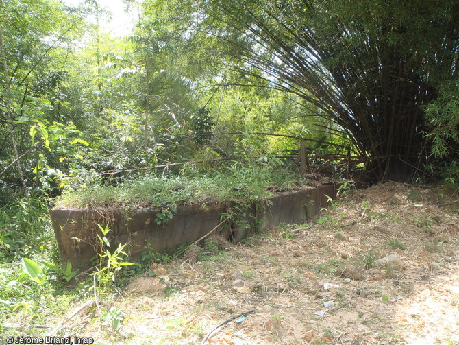Epave d'une chaloupe à vapeur en berge de la rivière Balaté découverte dans le camp pénitentiaire de Saint-Maurice à Saint-Laurent-du-Maroni (Guyane).