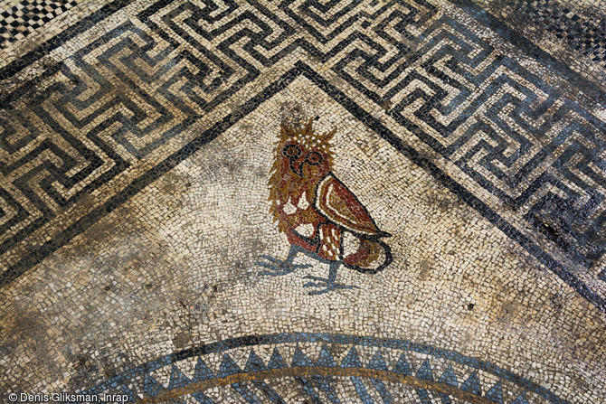 Représentation d'une chouette dans l'angle du décor central du pavement mosaïqué du Ier siècle avant notre ère découvert à Uzès ( Gard), 2017.