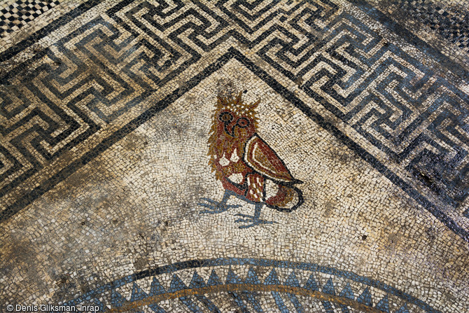 Représentation d'une chouette dans l'angle du décor central du pavement mosaïqué du Ier siècle avant notre ère découvert à Uzès ( Gard), 2017.
