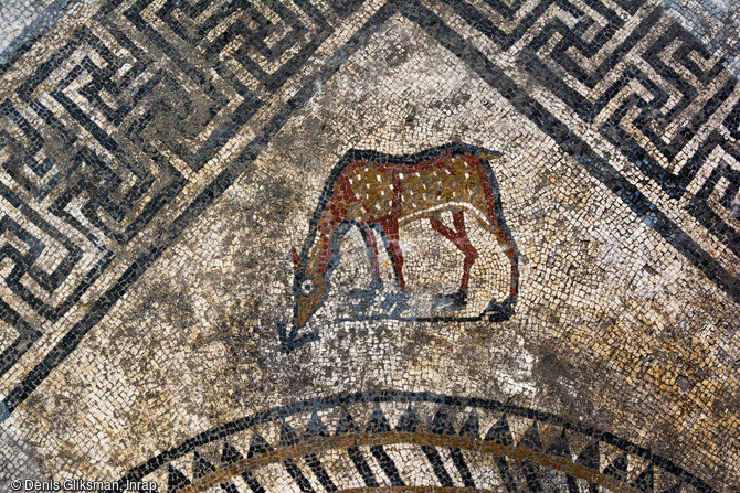 Représentation d'un cervidé dans l'angle du décor central du pavement mosaïqué du Ier siècle avant notre ère découvert à Uzès (Gard), 2017.