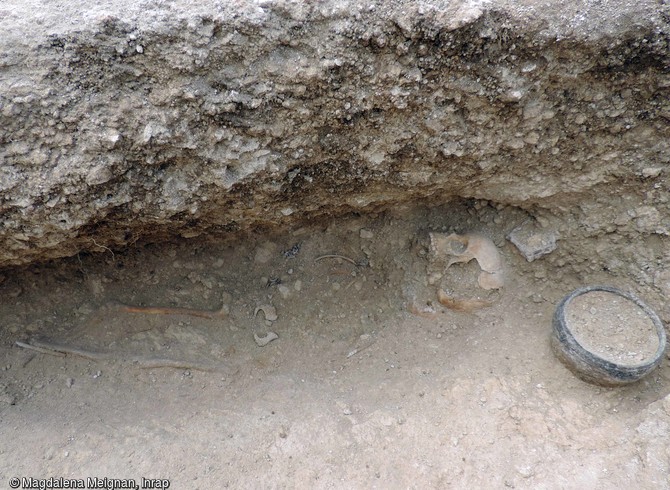 Vue d'ensemble du squelette logé dans la paroi en sape, sépulture du cimetière d'enfants de l'âge du Fer à Jort (Calvados).