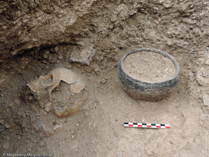 Détail du crâne et de la céramique d'accompagnement dans une sépulture  du cimetière d'enfants de l'âge du Fer à Jort (Calvados)