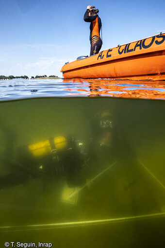 Relevé et observations dans un sondage par faible profondeur dans le lac de Sanguinet. Plongeur en surface pour la surveillance.