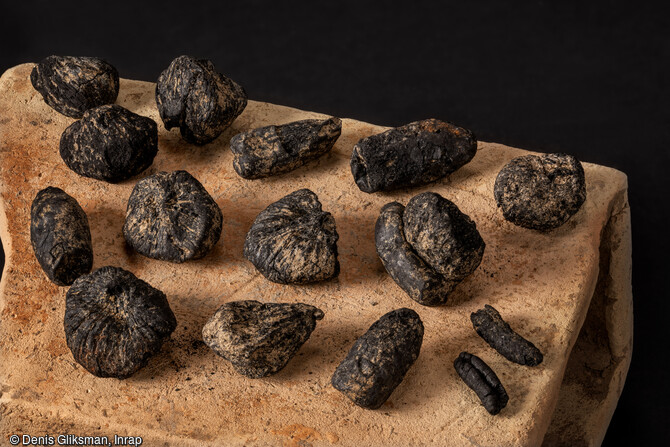 Fruits carbonisés : figues et dattes présents dans les cendres d'un bucher mis au jour dans la nécropole antique de Narbonne (Aude) en 2019.