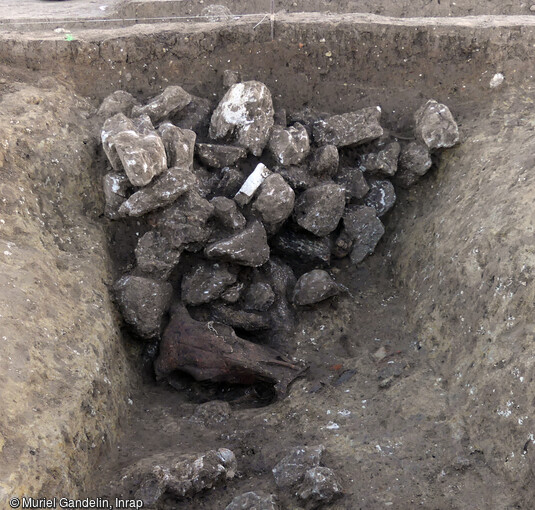 Fossé de Bronze ancien comblé de blocs de pierre, qui recouvrent le squelette presque complet d'une vache, découvert à Saint-Geniès-de-Fontedit (Hérault) en 2022. Ces blocs de pierre pourraient témoigner de l'existence de puissants remparts. 