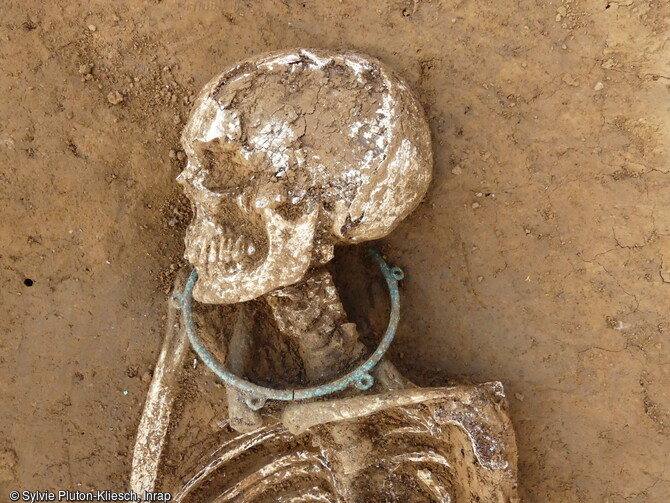 Détail du squelette, paré d'un torque autour du cou, mis au jour dans la nécropole de l'âge du Fer à Blainville-sur-Orne (Calvados) en 2021. 