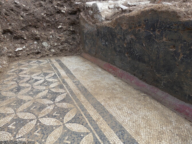 Vue générale du sol en mosaïque d'un probable cubiculum (Chambre) mis au jour lors d'un sondage du corps de ferme du château de Marigny à Fleurville (Saône-et-Loire) en 2021. Cette mosaïque présente une composition de cercles sécants dessinant des pétales en fuseau de quatre feuilles blancs et des carrés curvilignes noirs. D'après le style elle pourrait datée de la fin du 1er siècle. A droite un mur au décor peint d'imitation d'opus sectile (décor de marbre) conservé sur 60 cm de hauteur. 