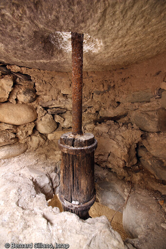 Vestiges du mécanisme d'entrainement d'un des moulins mis au jour à Saorge (Alpes-Maritimes): Le pal (axe métallique) fiché dans la bassègue (axe en bois) sous la meule dormante. 