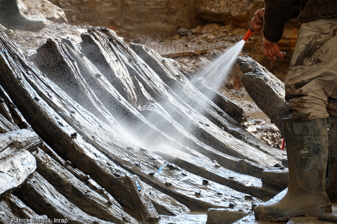 Humidification des membrures tribord de l'épave du bateau du haut Moyen Âge (VIIe-VIIIe siècles) découverte à Villenave-d'Ornon (Gironde) en 2022. 