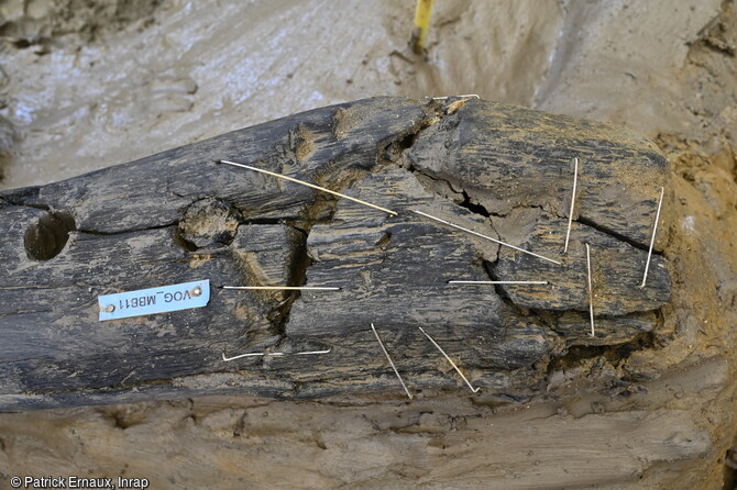 Consolidation et remontage de l'extrémité d'un membrure de l'épave du bateau du haut Moyen Âge (VIIe-VIIIe siècles) découverte à Villenave-d'Ornon (Gironde) en 2022. 