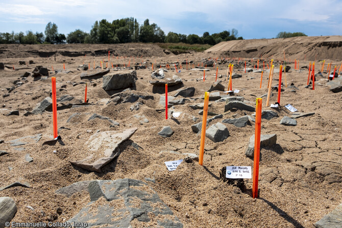 Vue générale et travail de fouille manuelle sur le site n°2 du chantier de fouille de l'île Poulas (Maine-et-Loire) en 2022.