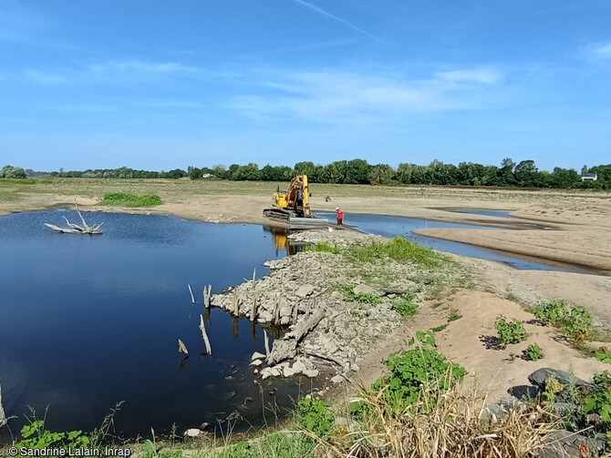 Décapage à l'aide d'une pelle mécanique sur le site n°1 de la fouille de l'île Poulas (Maine-et Loire) en 2022. Les pieux en bois qui émergent de l'eau au premier plan sont des éléments de pêcheries. D'après les premières datations, ces pêcheries auraient fonctionné au cours du XIIe siècle.  