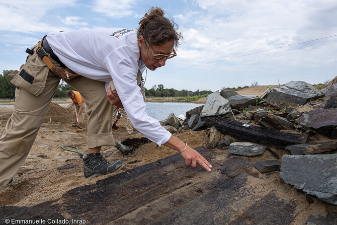 Observation des vestiges en bois pour comprendre les techniques de construction des épaves des XVIIe-XVIIIe siècles, mises au jour lors de la fouille de l'île Coton, Ancenis (Loire-Atlantique) en 2022. 