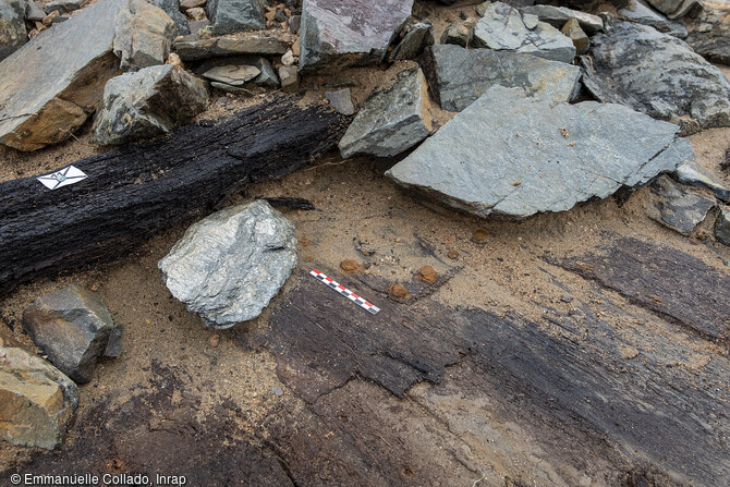 Observation des vestiges en bois pour comprendre les techniques de construction des épaves des XVIIe-XVIIIe siècles, mises au jour lors de la fouille de l'île Coton, Ancenis (Loire-Atlantique) en 2022.