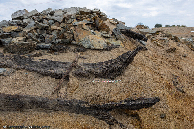 Observation des vestiges en bois pour comprendre les techniques de construction des épaves des XVIIe-XVIIIe siècles, mises au jour lors de la fouille de l'île Coton, Ancenis (Loire-Atlantique) en 2022.