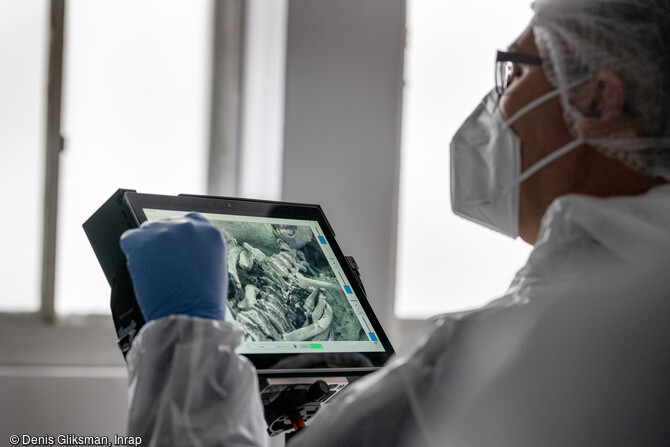 Observation des ossements en fluorescence sous ultraviolets, des défunts exhumés du transept de Notre-Dame de Paris, à l'institut médico-légal du CHU de Toulouse. Cette structure dispose d'un matériel d'imagerie médicale de pointe permettant des études (histologie, microscopes, scanner, radios) rapides. Ses équipes ont déjà étudié un cas semblable, celui de Louise de Quengo, une noble bretonne du XVIIe siècle momifiée dans son cercueil de plomb et découverte en 2014 par l'Inrap.   