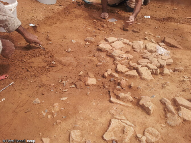   Gisement du Paléolithique à Bellegarde (Gard) mis au jour en 2016.     