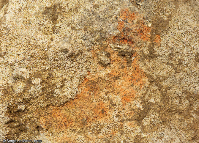 Détail de l'imprégnation du colorant ferrugineux d'un galet découvert à Louviers (Eure), en 2023. Des vestiges du Paléolithique y ont été mis au jour.