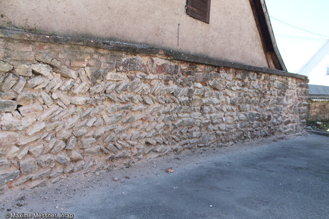 Vue générale du parement interne de la portion de l'enceinte du XIIIe s étudiée à Rosheim (Bas-Rhin). La pose des moellons à l’oblique (Opus spicatum) permettait d’utiliser des pierres inégales pour atteindre la hauteur d’une assise.