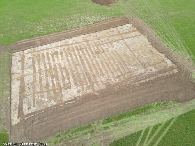 Vue aérienne des sondages manuels dans un enclos dédié à la culture, des Ier et IIe siècles de notre ère à Frénouville (Calvados). Les archéologues y ont mis en évidence un système de 20 tranchées présentant des dimensions très régulières et des caractéristiques de comblements similaires. Cet aménagement témoigne d'une volonté d'organisation et de production centralisée. La question de l'essence cultivée est encore en suspens : pourrait-il s'agir des premières traces de culture de la vigne ou l'organisation d'un verger pour des arbres fruitiers ? 