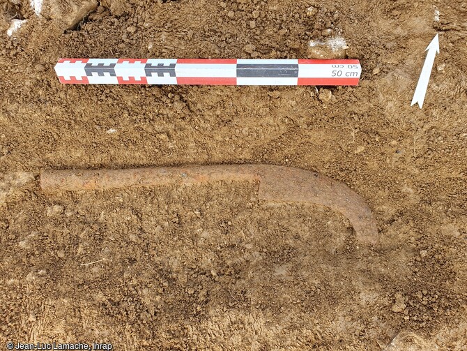 Emondoir en cours de dégagement dans le fossé d'enclos bordant les cultures de l'exploitation agricole, des Ier et IIe siècles de notre ère à Frénouville (Calvados).