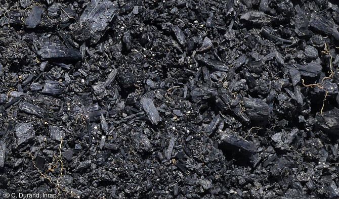 Échantillons de charbons de bois prélevés sur le site de fouille de Bolquère (Pyrénées-Orientales) en 2023, et qui seront utilisés pour la datation au radiocarbone. 