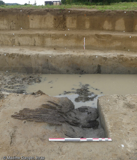 Fragment d'écorce mis au jour à Thourotte (Oise) dont les vestiges remontent au Mésolithique. 
