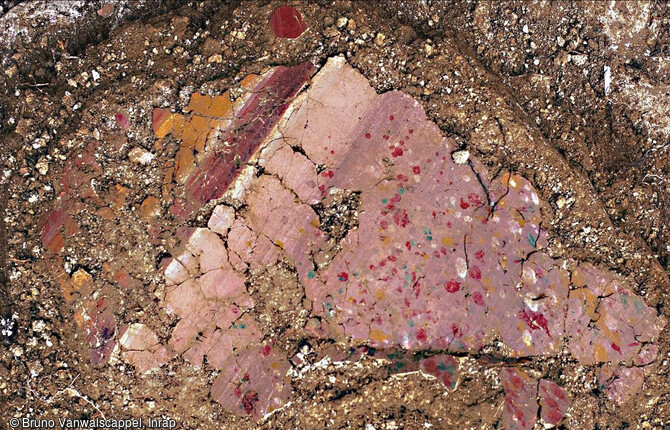 Plaques d'enduits peints découverts sur le sol de la cave maçonnée datée du Ier siècle de notre ère, à Sainte-Catherine (Pas-de-Calais).