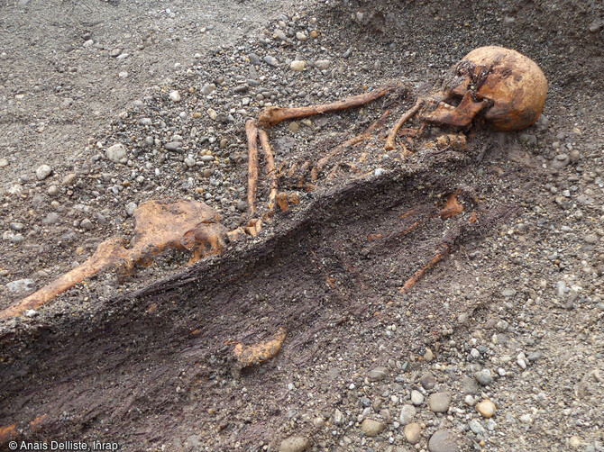 Vue depuis le nord-est de la tombe SP 17, attribuée à l'époque médiévale à Publier (Haute-Savoie). Détail des fibres ligneuses au contact du squelette restituant l'affaissement d'une paroi ou couverture d'un coffre en bois. 