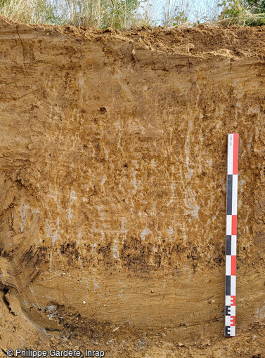 Profil stratigraphique observé dans le sud-est du site Gustave Eiffel à Tours (Indre-et-Loire). Les artefacts lithiques ont été prélevés au sein et en dessous de l'horizon marqué par des oxydations. 