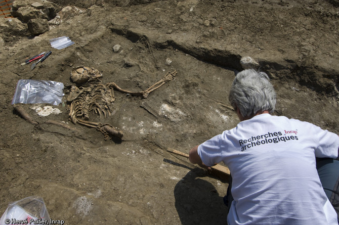 Squelette d'adulte en cours de démontage dans un des charniers contenant les victimes de la bataille du Mans (12 et 13 décembre 1793), Le Mans (Sarthe), 2010.  Il s'agit ici du dernier niveau de fouille, la partie inférieure du squelette ayant déjà été prélevée. 