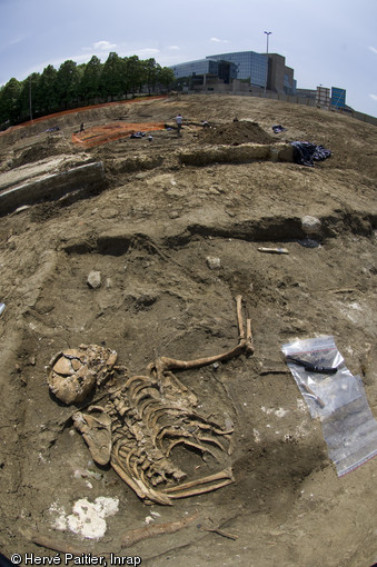 Dernier niveau de fouille d'une des fosses contenant des victimes de la bataille du Mans (12 et 13 décembre 1793), Le Mans (Sarthe), 2010.  Au premier plan un squelette d'adulte dont la partie inférieure a déjà été prélevée.  