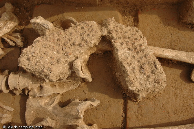 Paire de semelles cloutées retrouvée dans une inhumation en coffre à tuiles de la nécropole de Savasse (Drôme) datant du Bas-Empire (IVe et Ve siècles de notre ère), 2010.  L’homogénéité des pratiques funéraires révélée par la présence presque constante d’objets déposés dans les tombes est une des caractéristiques de ce site. 